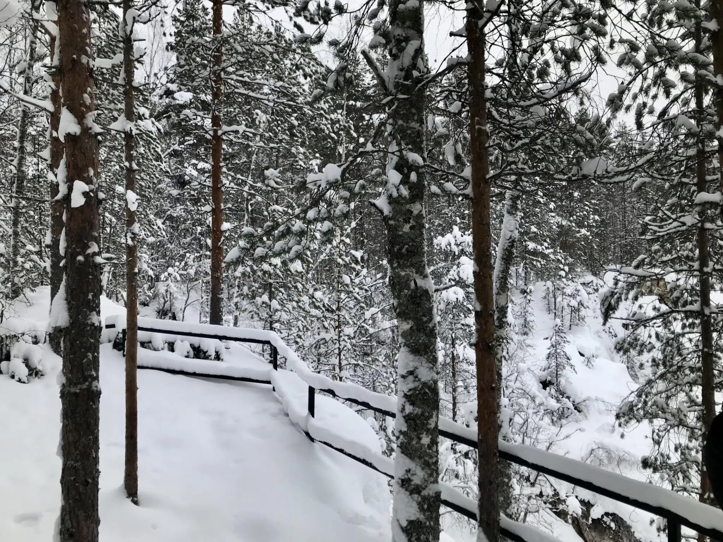 Медвежий угол