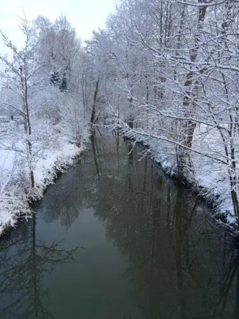 Ferienwohnungen direkt am Wasser