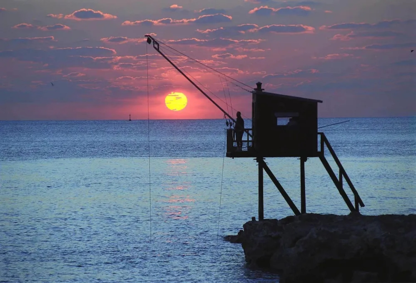 Villas La Fôret d'Armotte