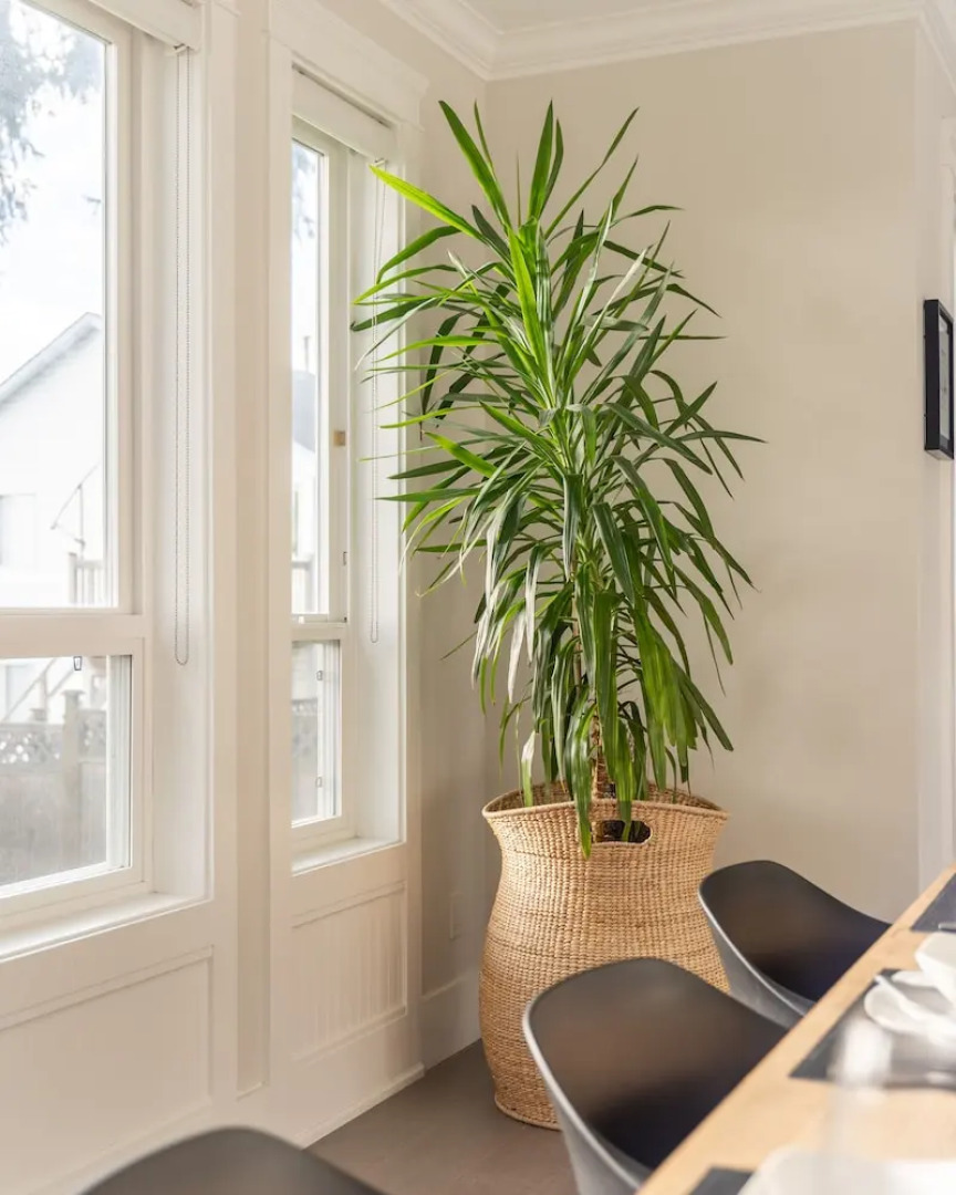 5-Star Luxury and comfortable home