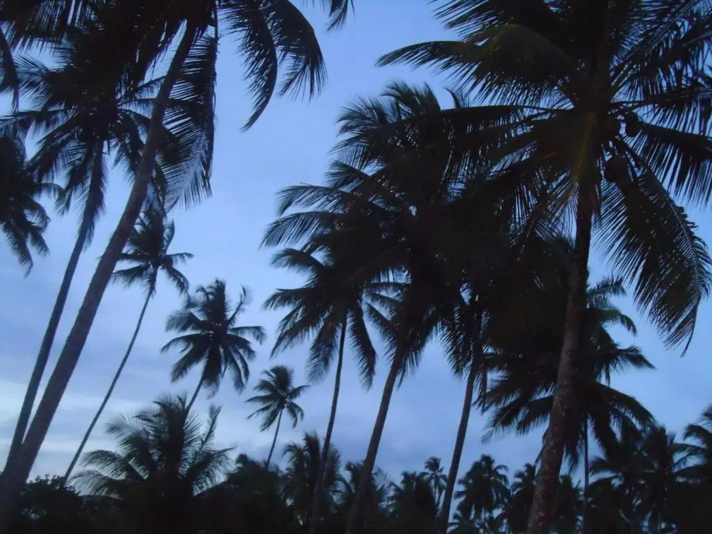 Pousada Refugio Mineiro