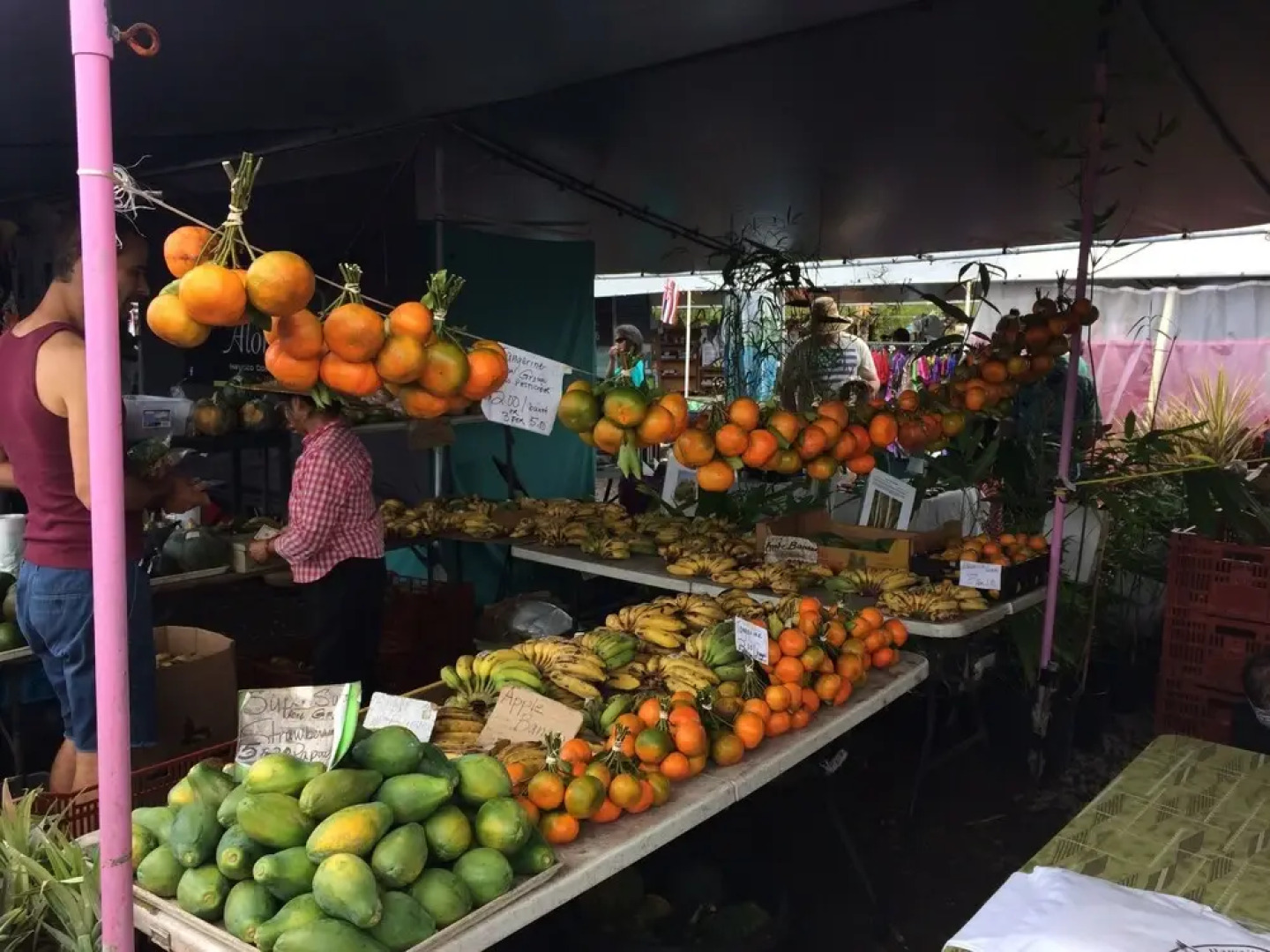 SweetSpotStay-Enchanted Grotto