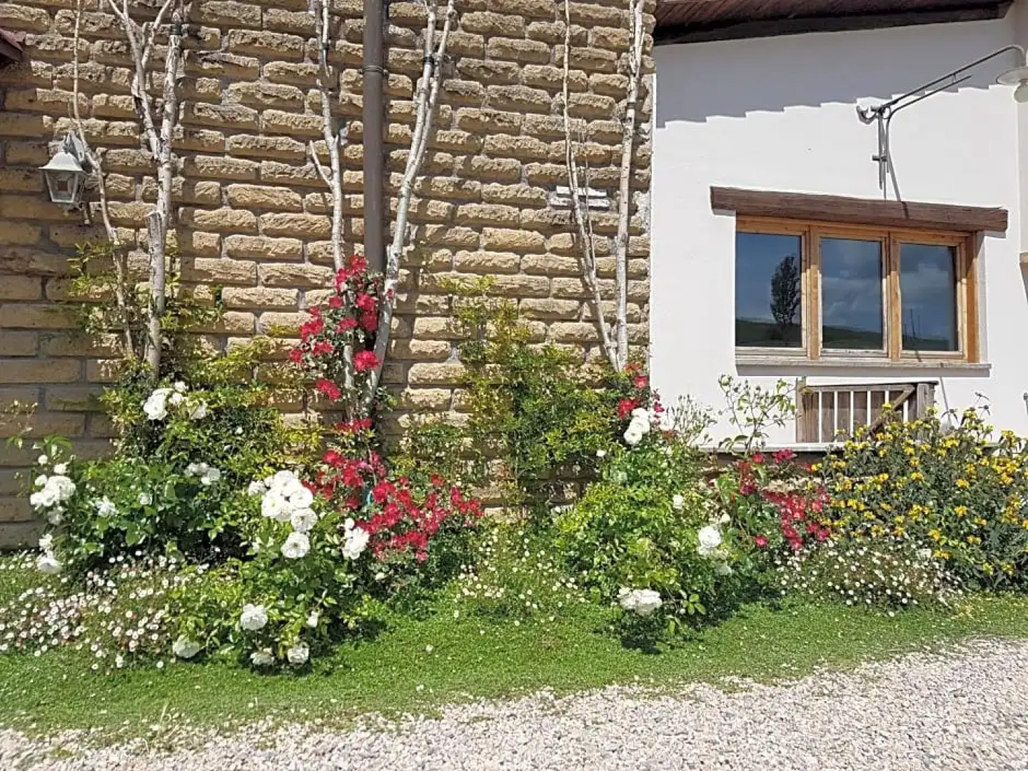 Agriturismo Podere Farnesiana