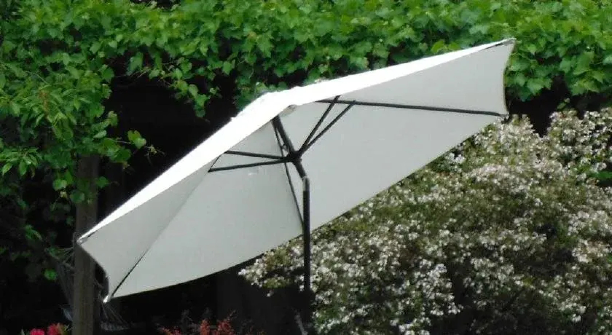 Shawnigan Lake Bed and Breakfast