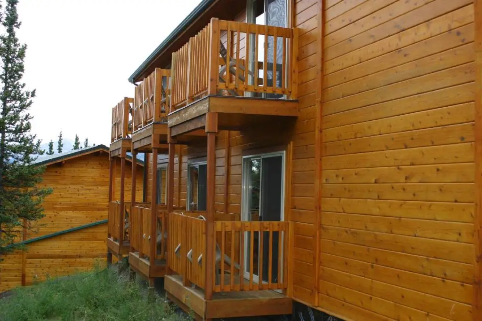 Denali Grizzly Bear Resort