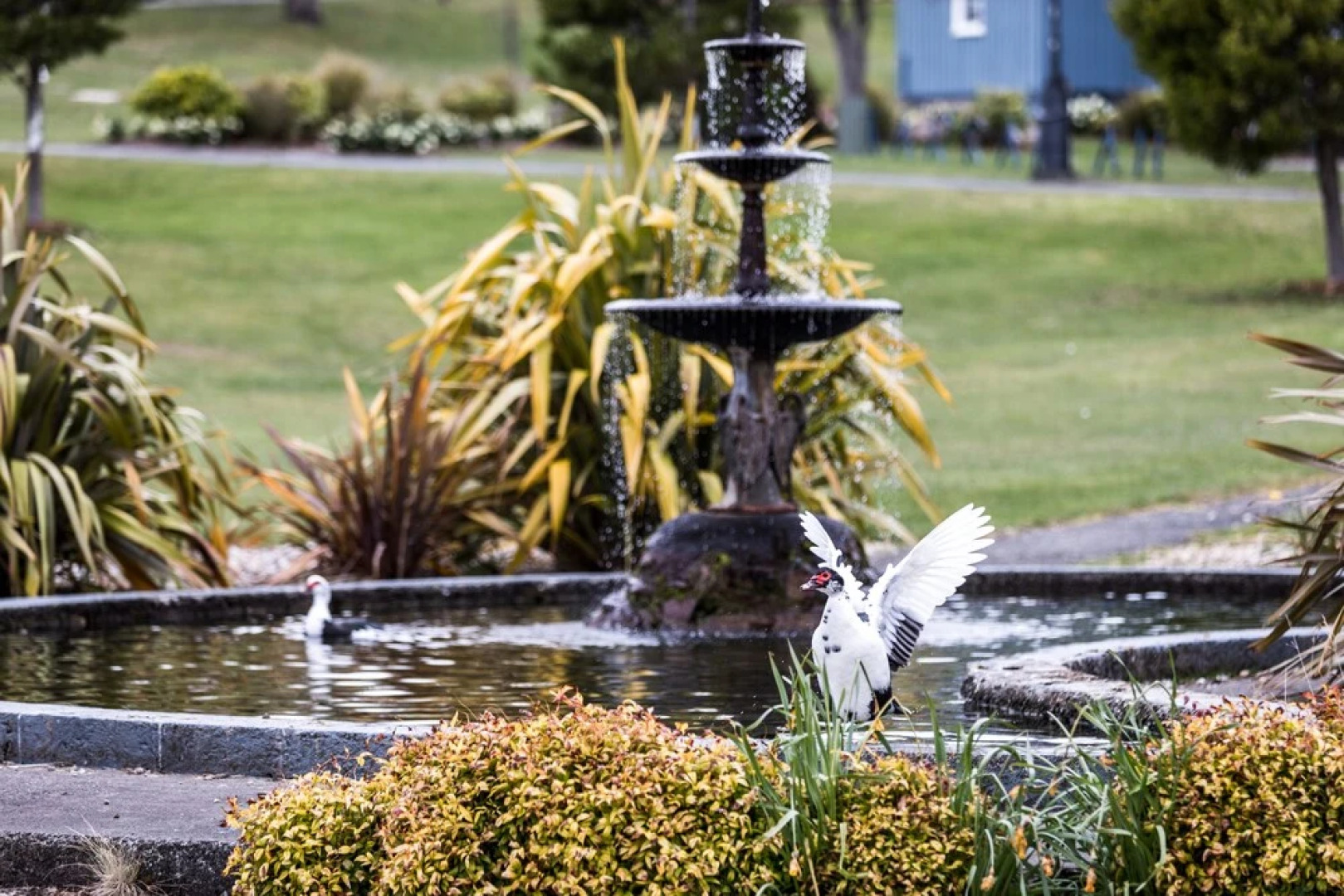 The Lodge at Tarraleah - Adults Only