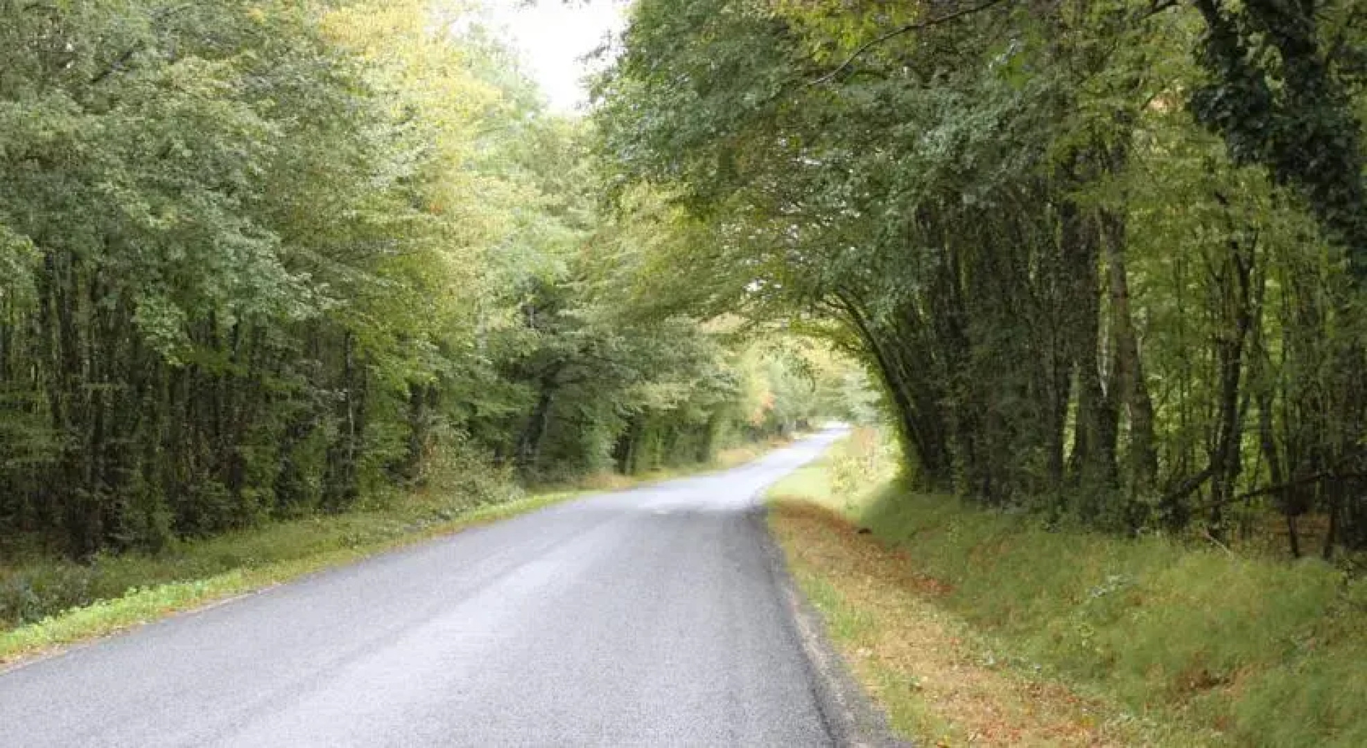 Gite de la Maison Fort