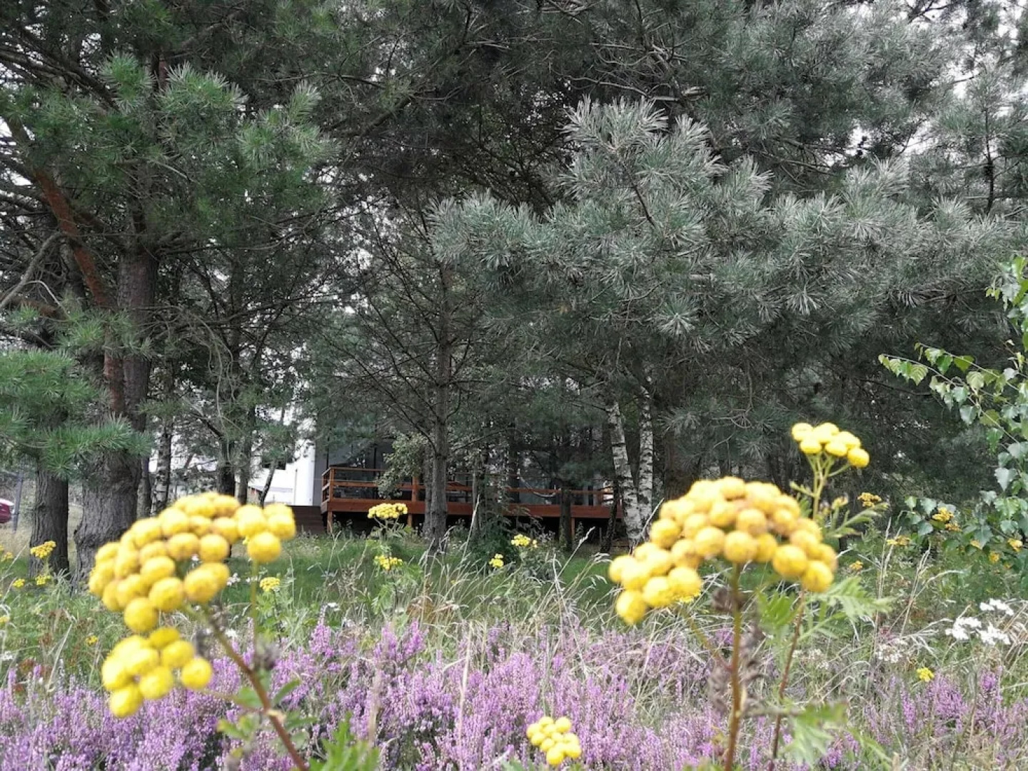 Glass Cottage in Jelenska Huta With Terrace