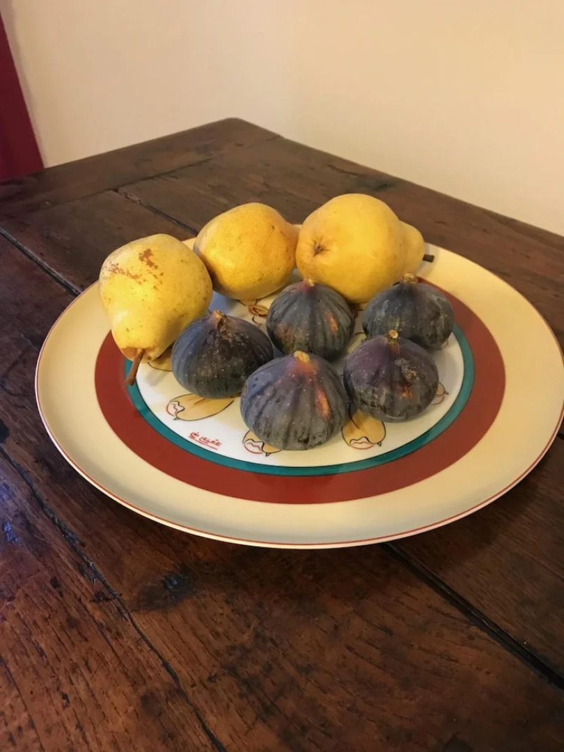 Couleurs de Camargue Chambres d'Hôtes