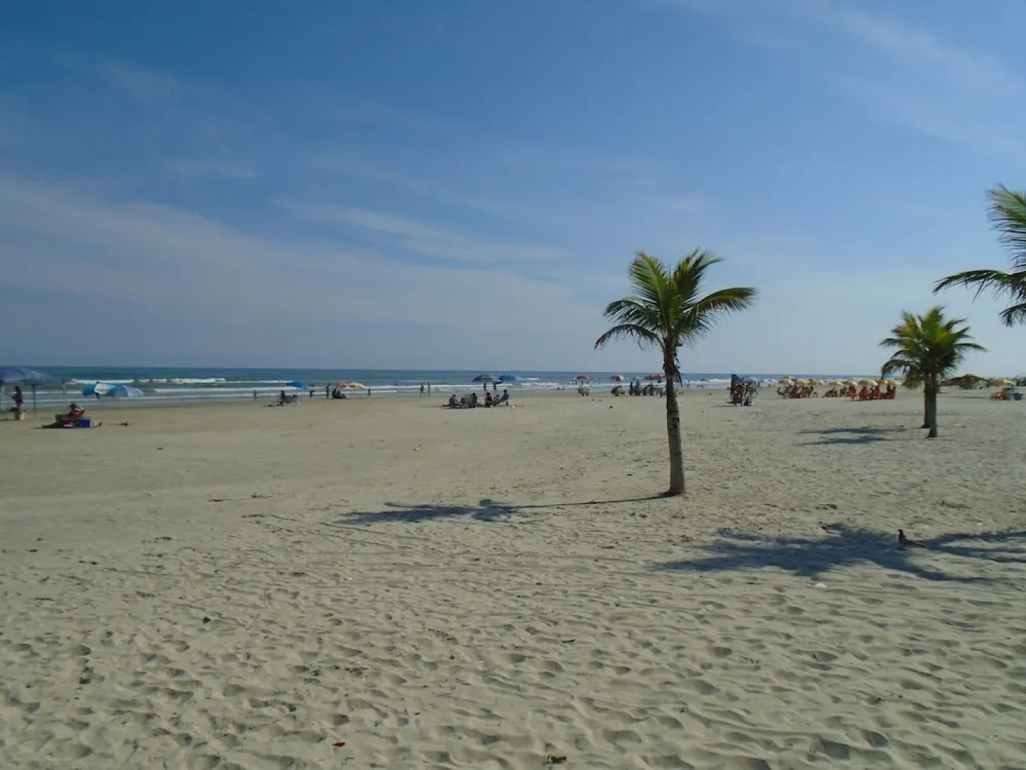 Apartamento Frente ao Mar em Praia Grande