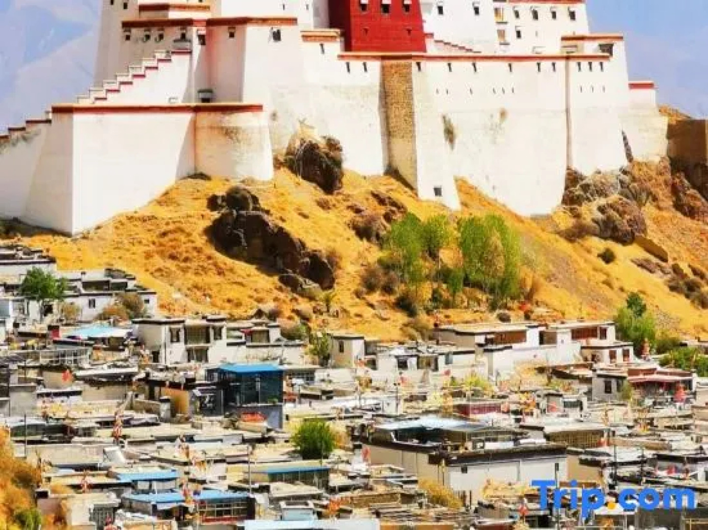 Shigatse Tangka Hotel