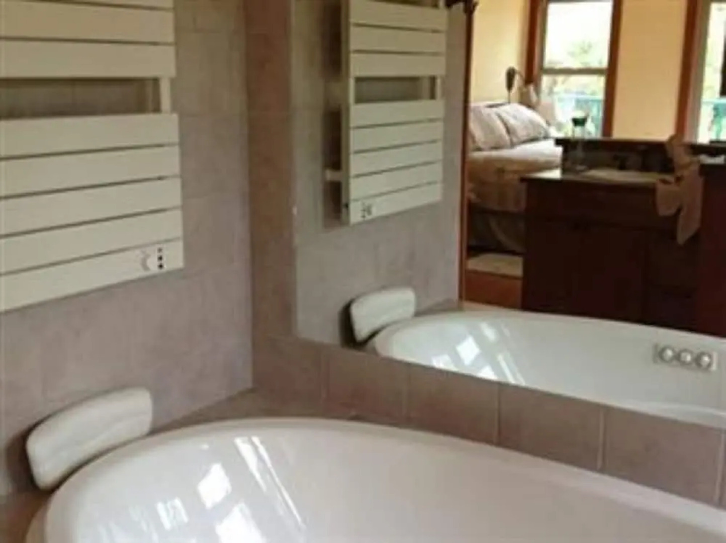 Volcano Big Tree Sanctuary