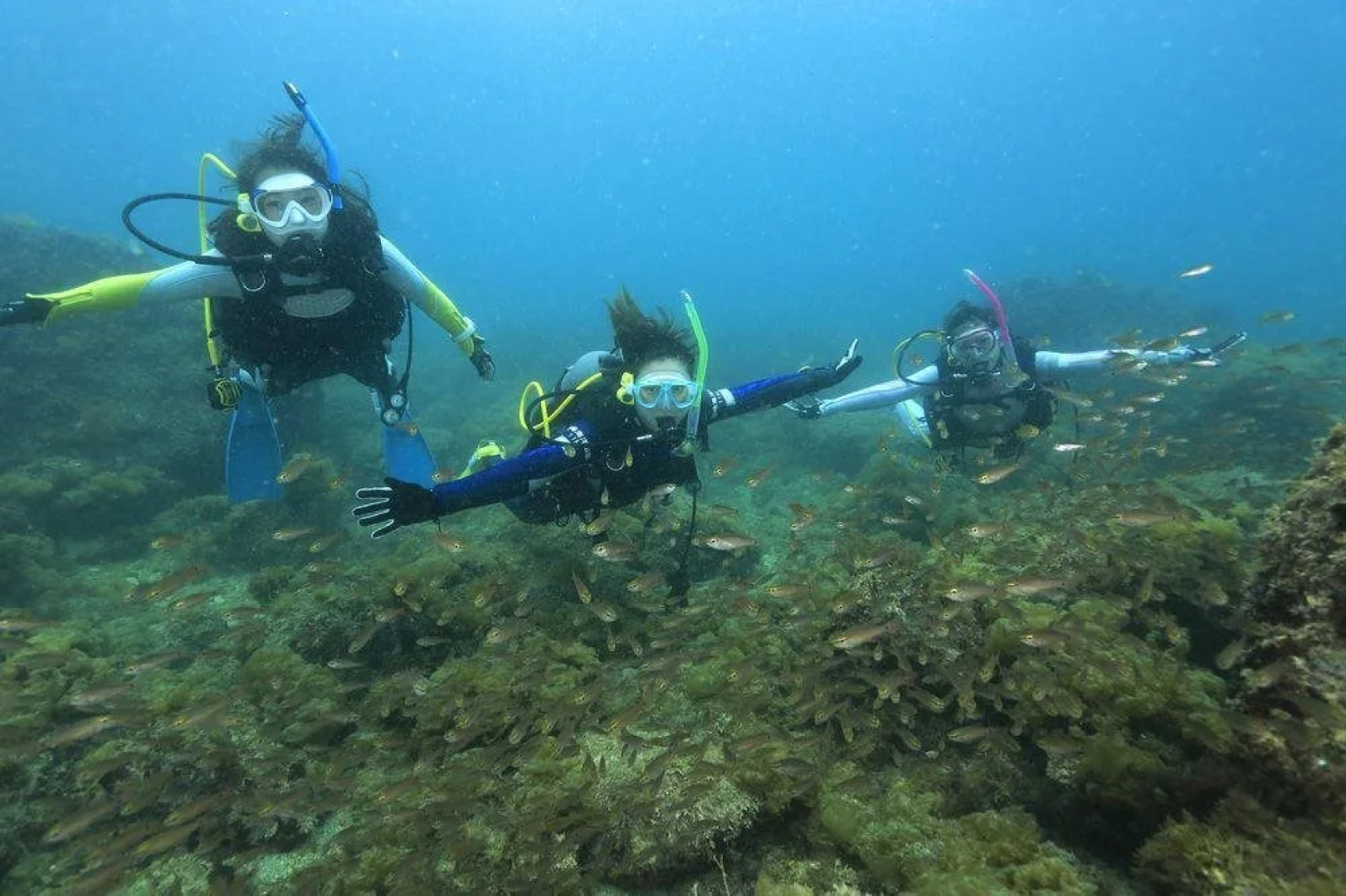 Shirasaki Kaiyo Kouen