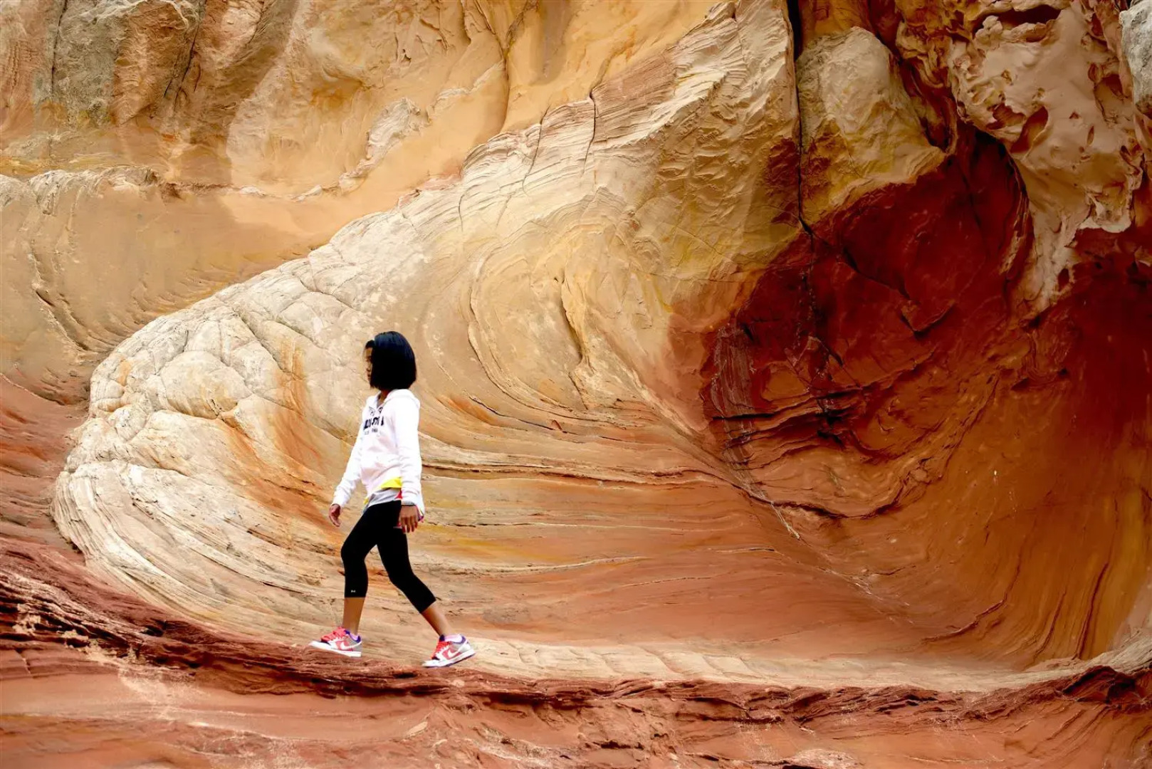 Best Western View Of Lake Powell Hotel