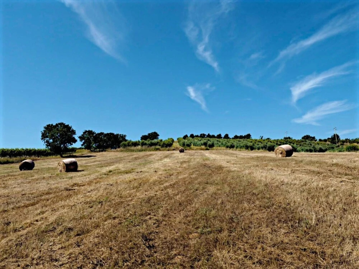 Villa Bellavista Argentario