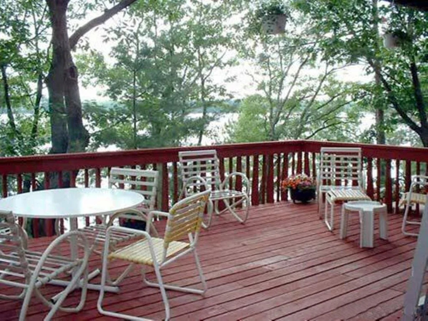 Tree Tops Bed & Breakfast