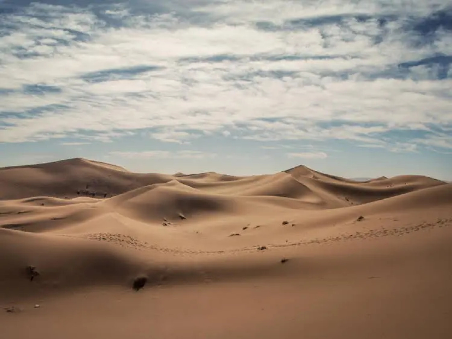 Bivouac Chegaga Le Pacha
