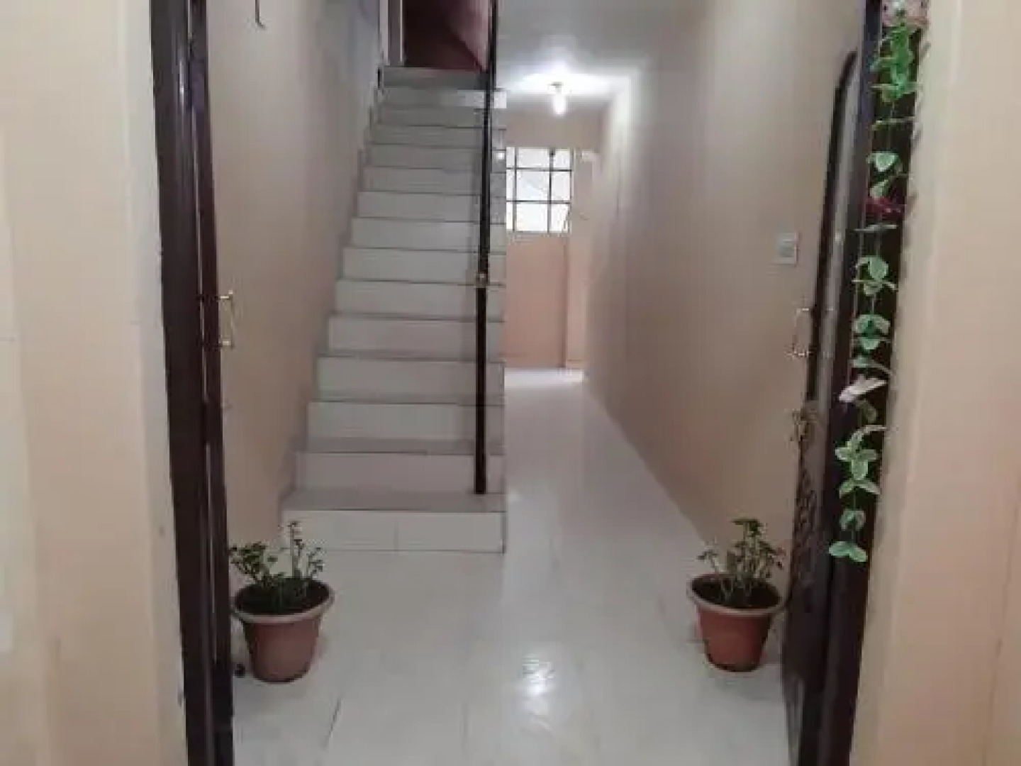 Green View Guest House