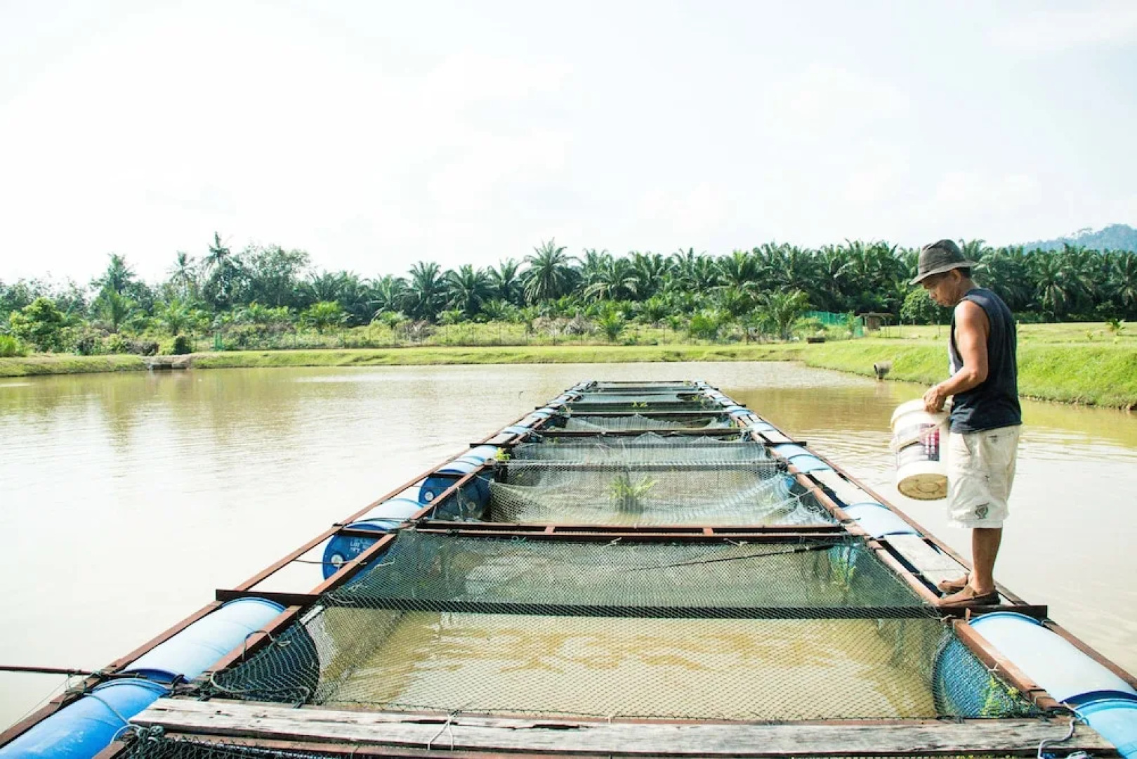 Kampung Bongsu Farmstay