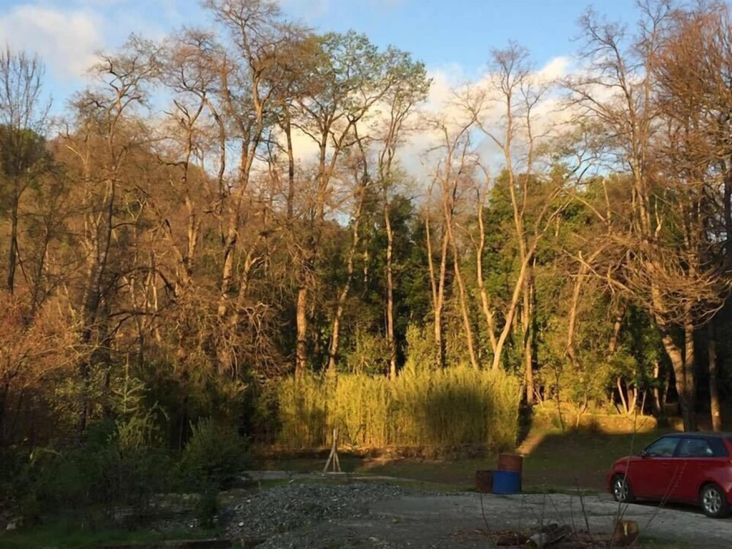 Bosque Los Lleuques Cabaña & Spa