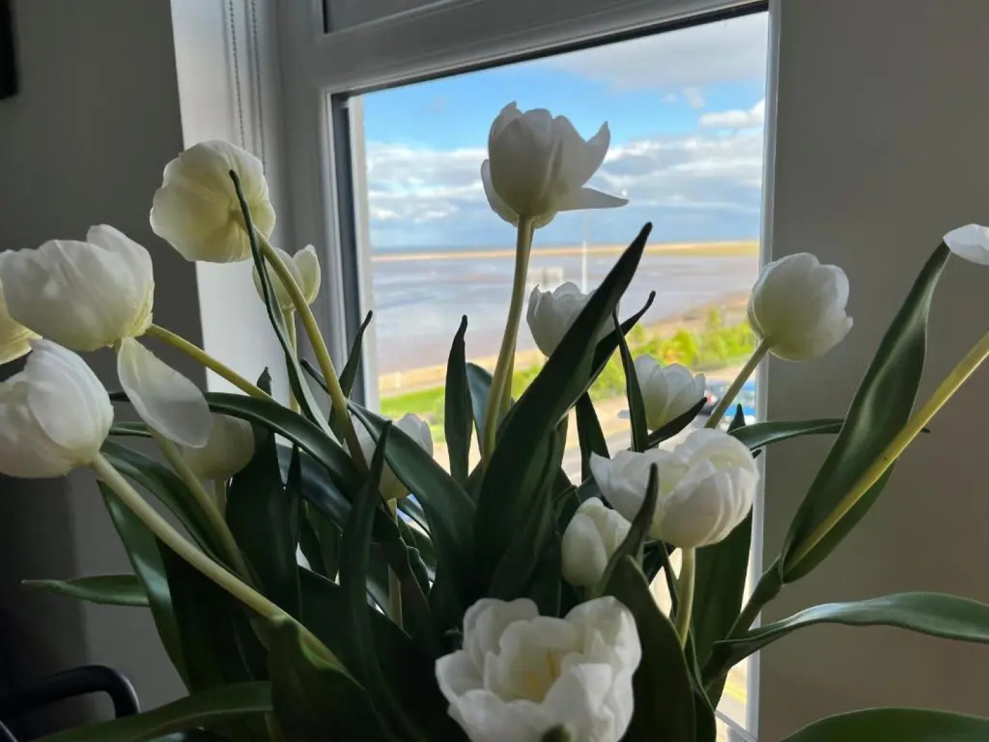 Seafront Luxury Apartment