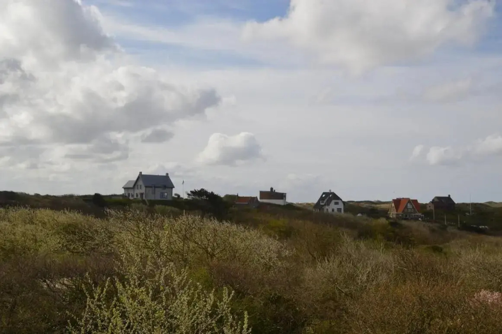 villa Flore, studio's