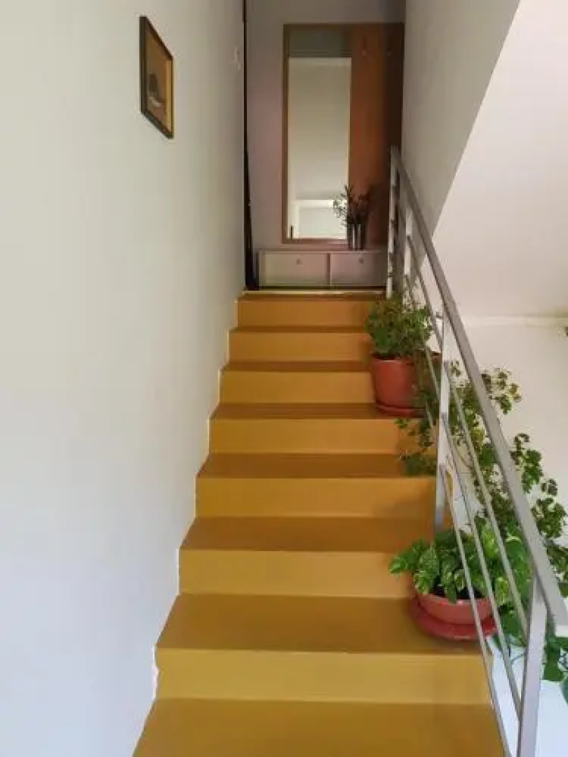 Apartments Luka