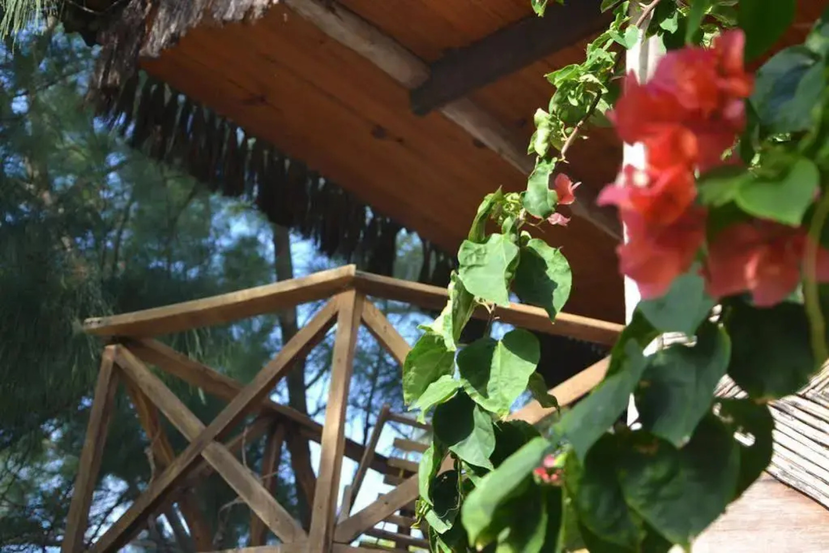 Pousada Paraíso das Tartarugas