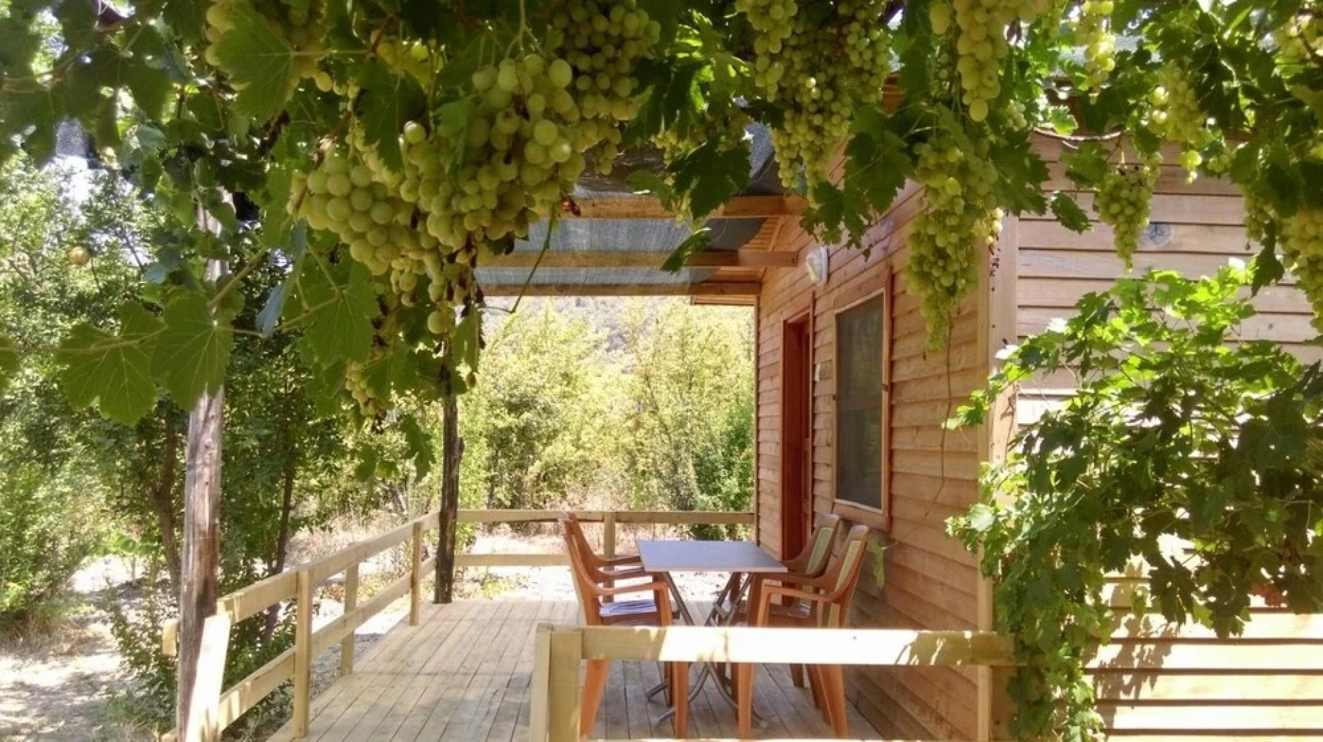 Yesil Bahce Bungalow - Ahsap Evler