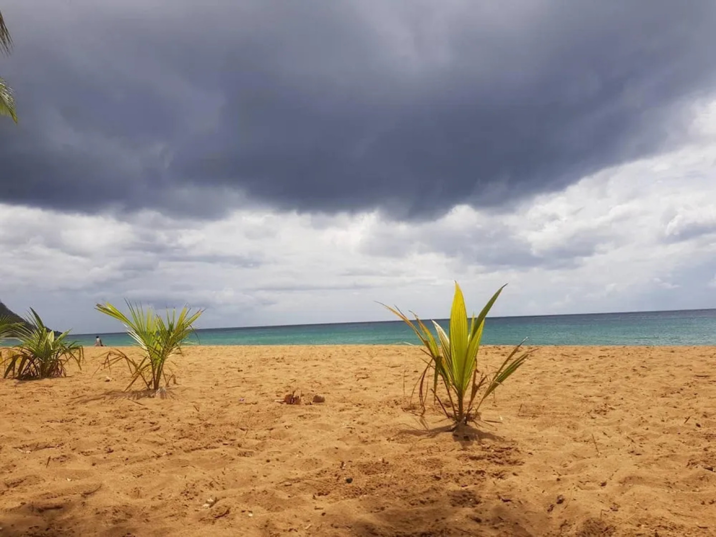 Bungalow With one Bedroom in Ste Rose, With Wonderful sea View, Pool A