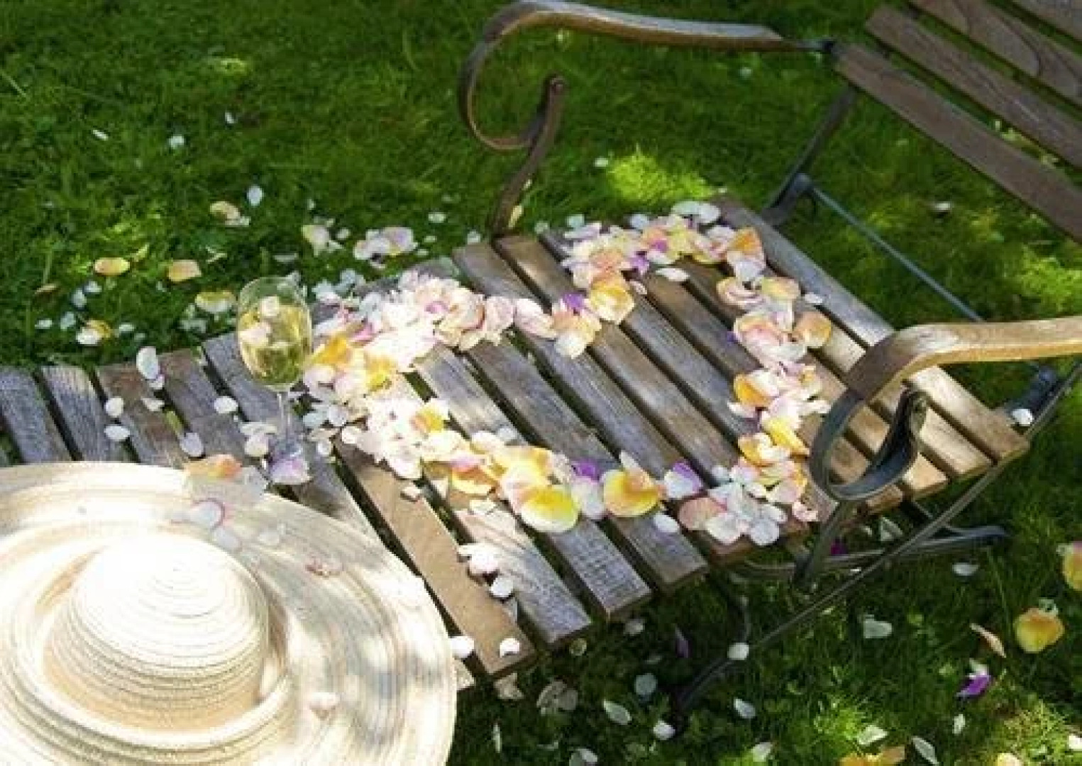 Ringhotel Der Waldkater