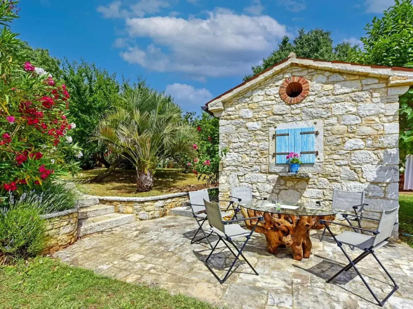 Hibiskus Tadini in Tadini