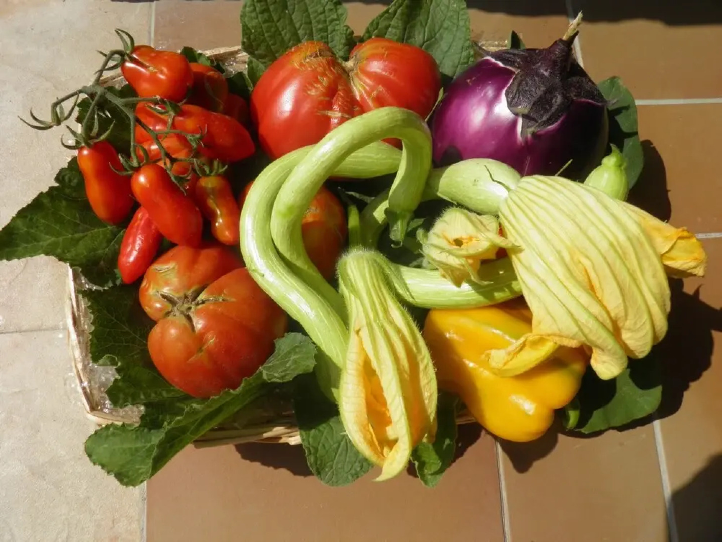 Agriturismo U Caruggiu