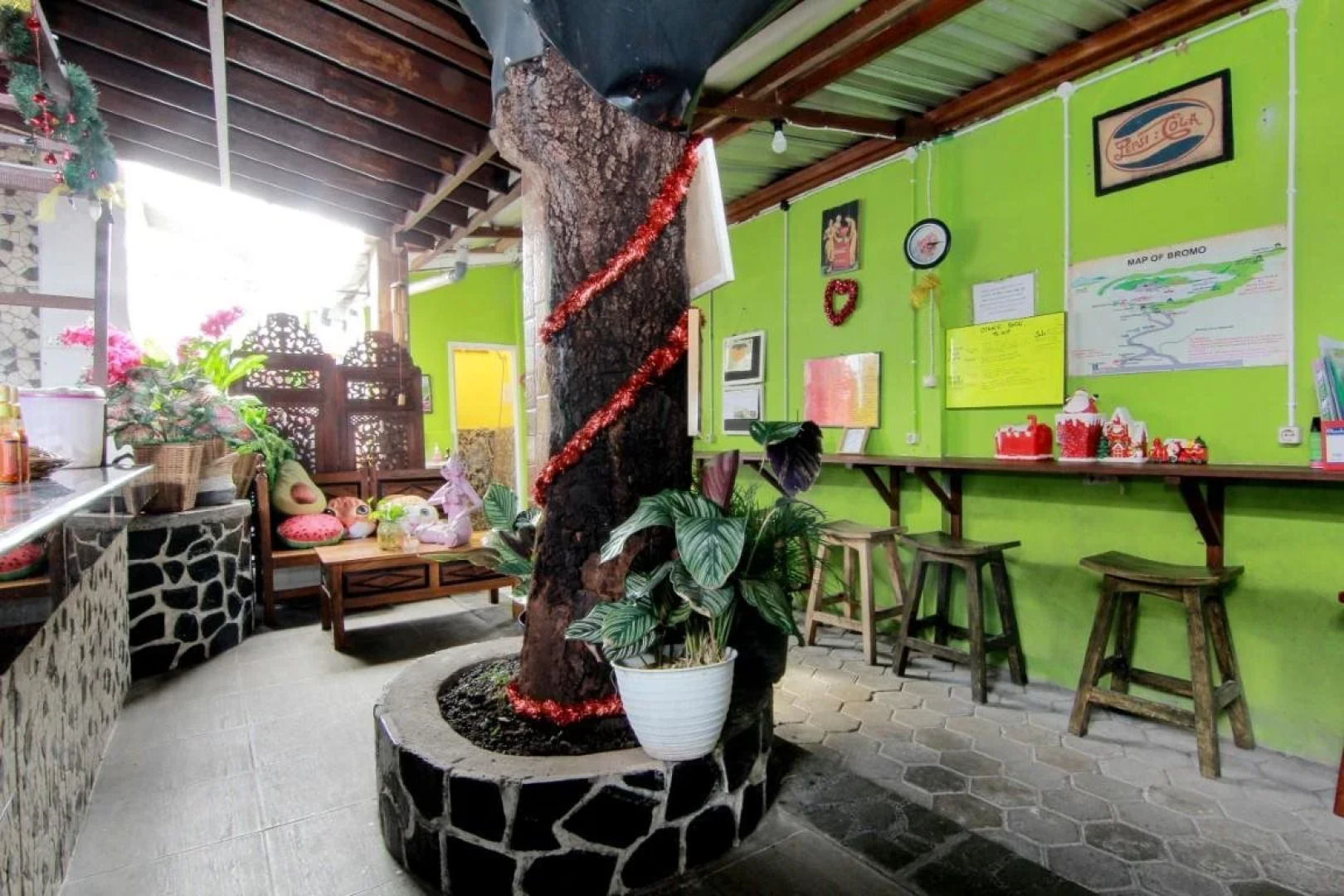 Laura's Backpacker 523