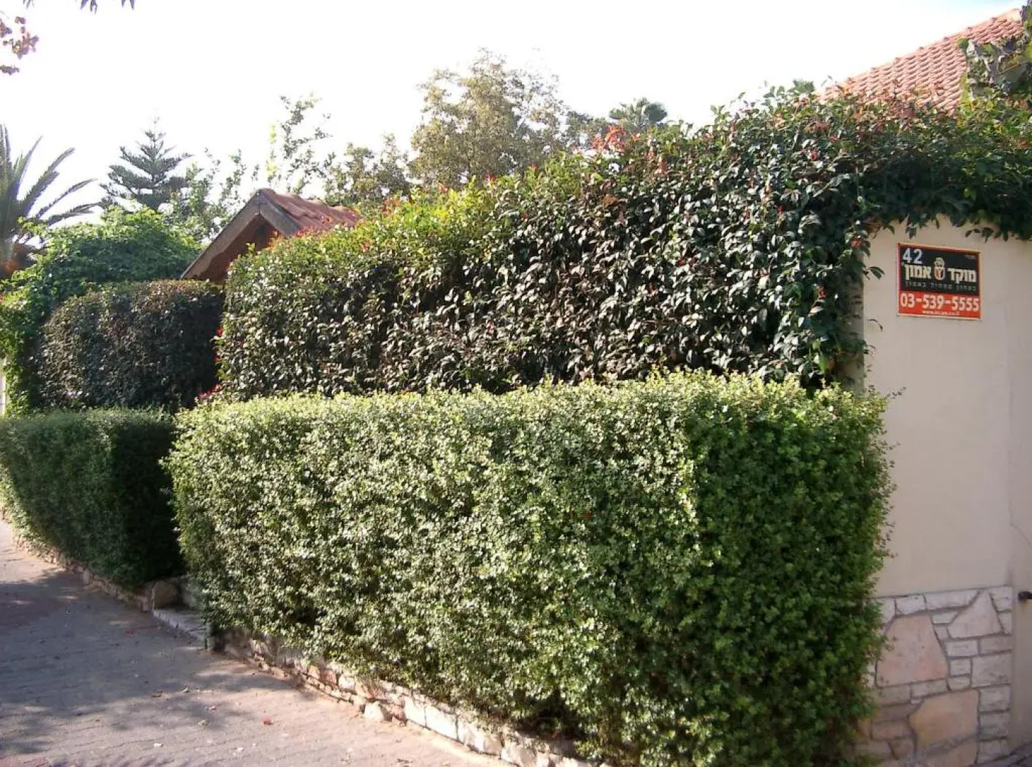 'The Rose' Business Travelers