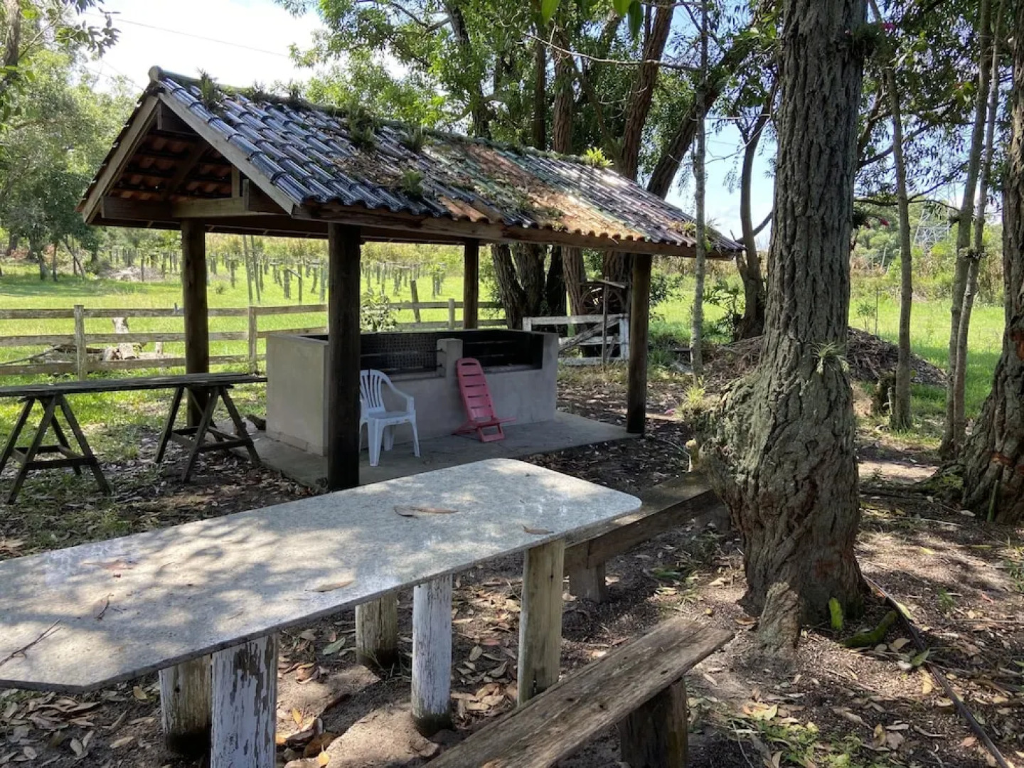 Haras Trevo de Ferro