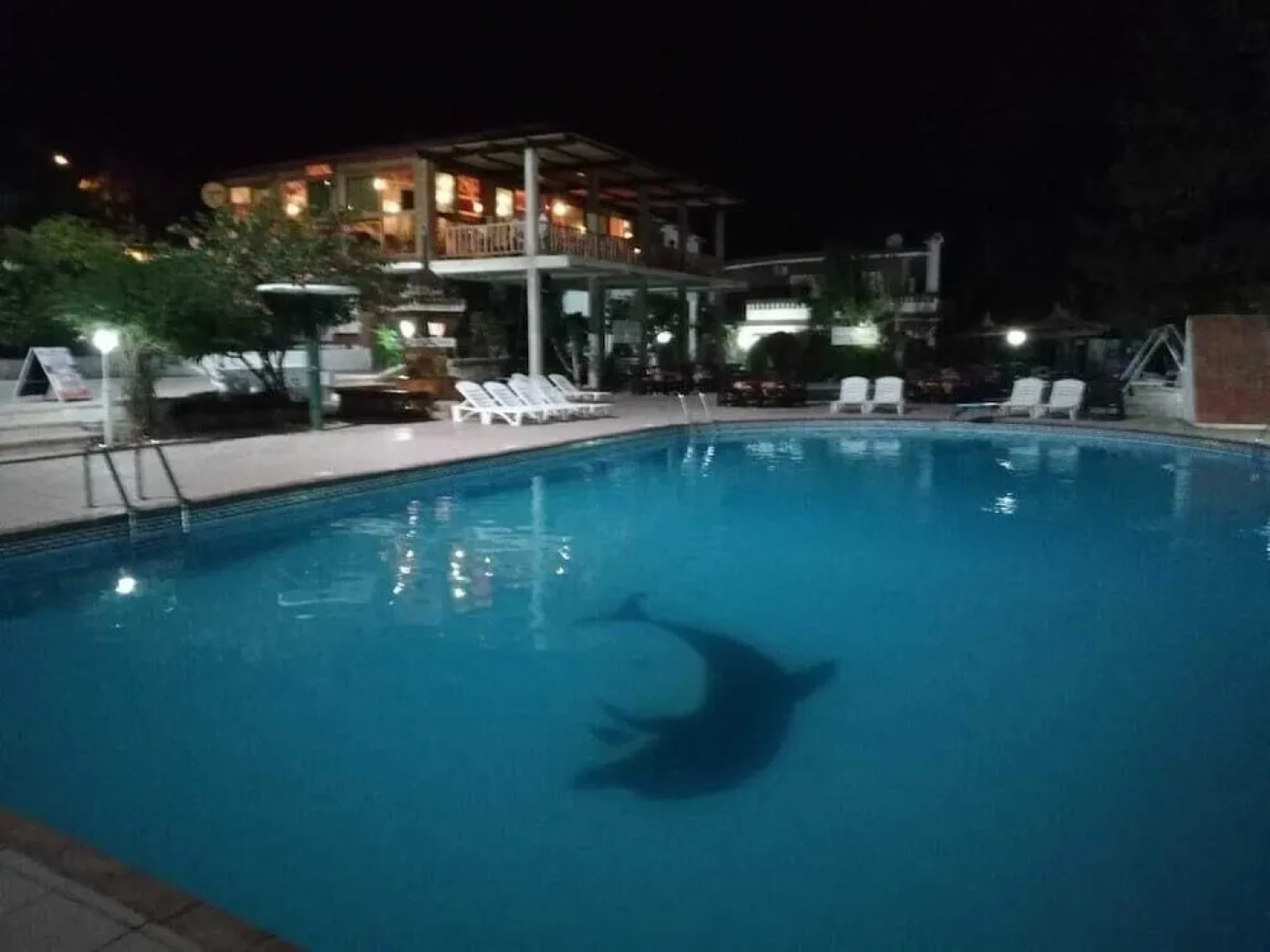 Résidence Nardina Golden