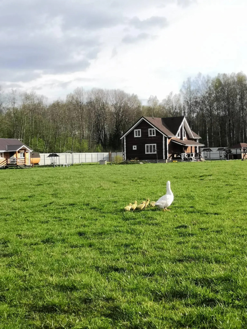 Усадьба Красивая