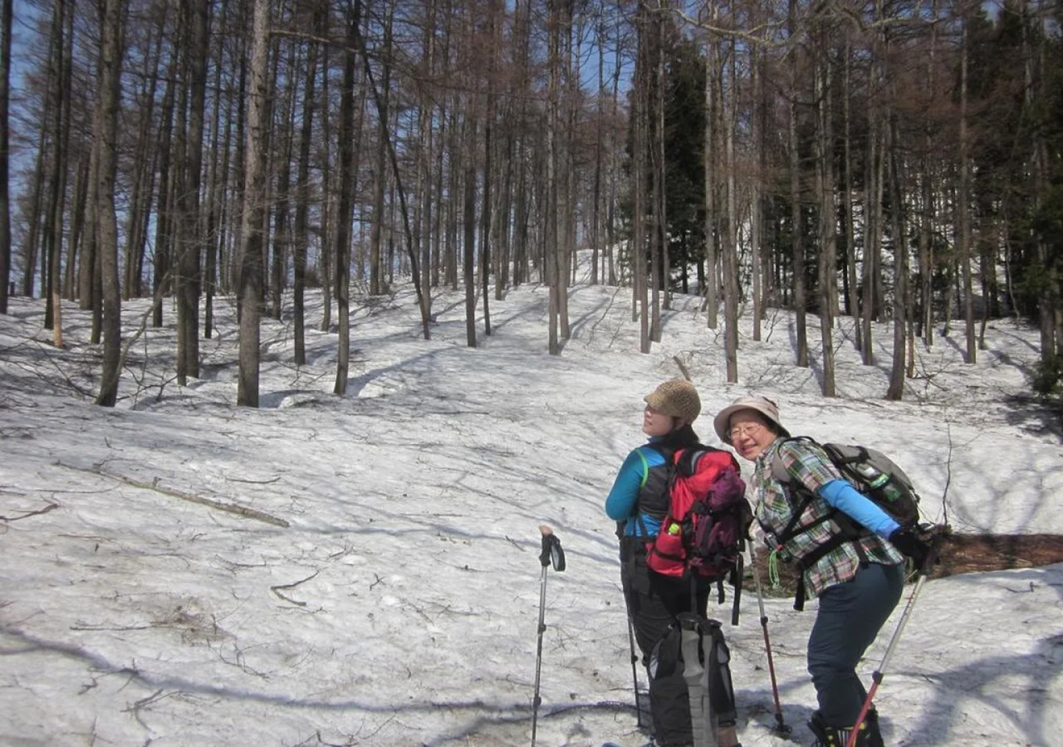 Mori no Log Hotel Kamloops