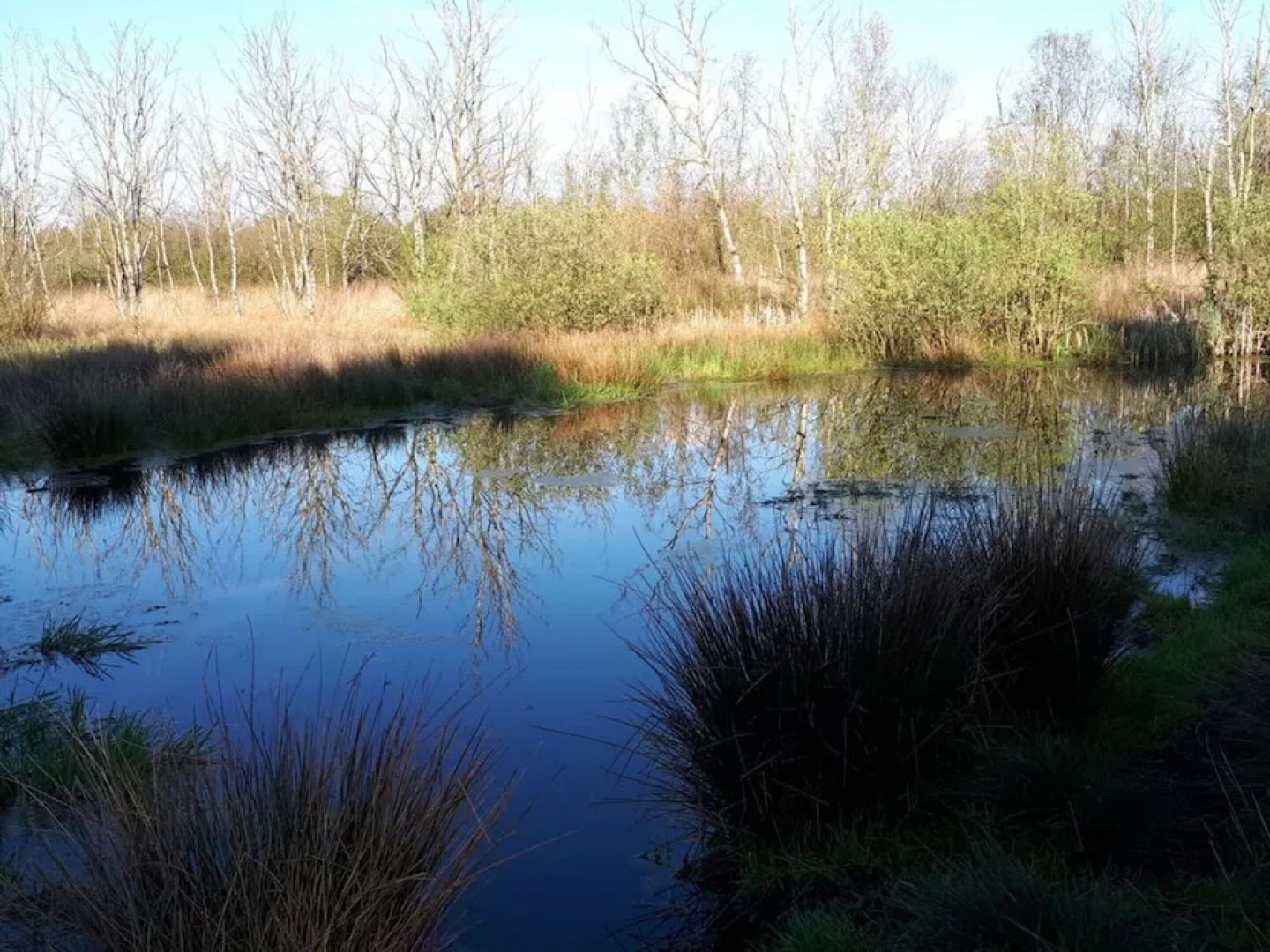 Holiday House House by the Lake