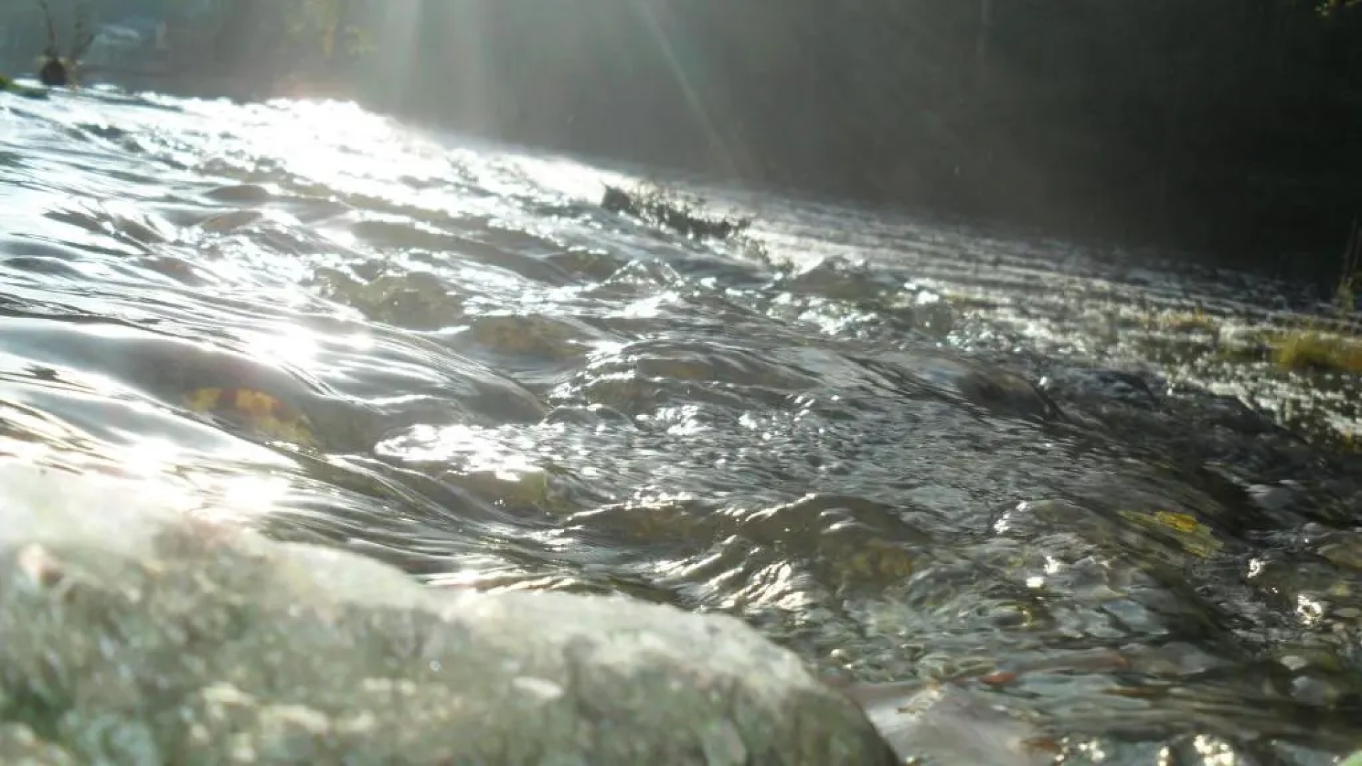 Gîte du Moulin du Vey