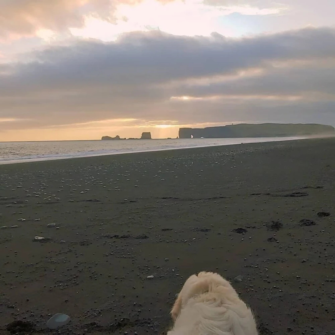 Prestshus 2 Guesthouse