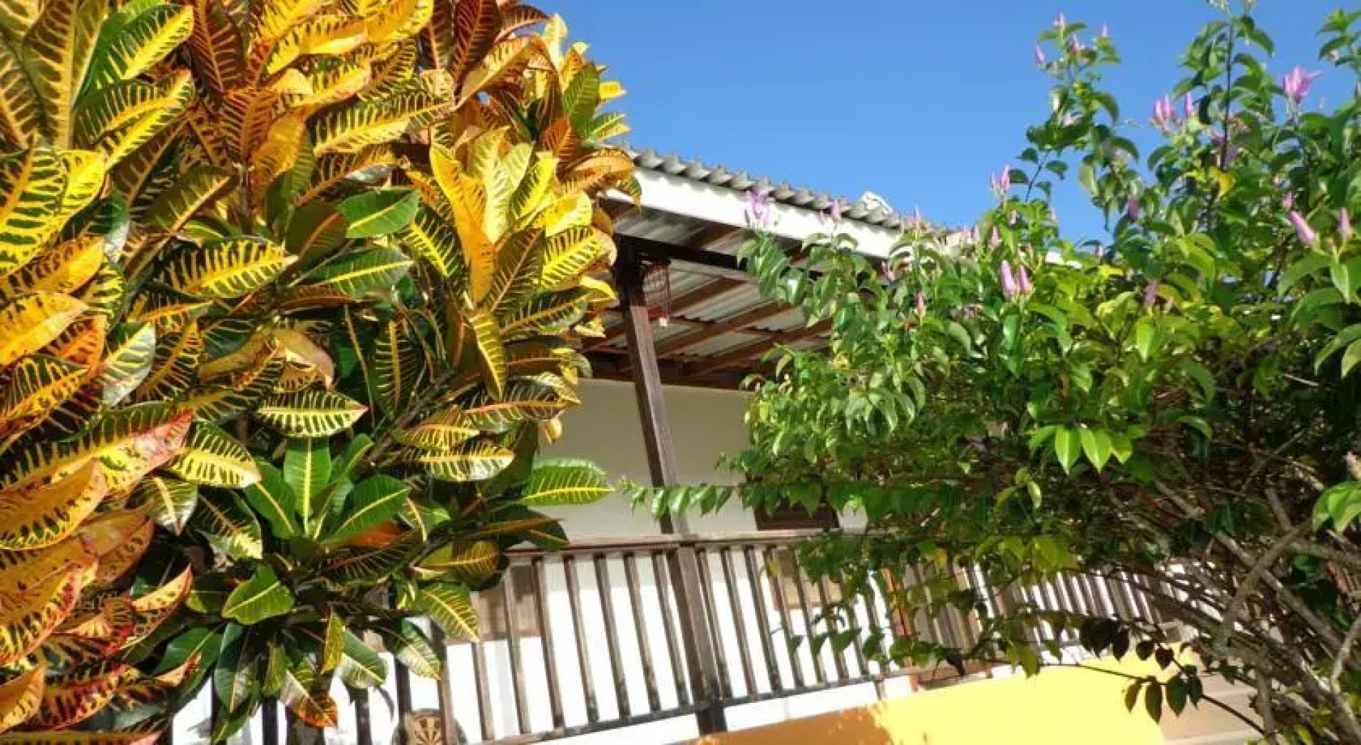 Peartree Hill Estate