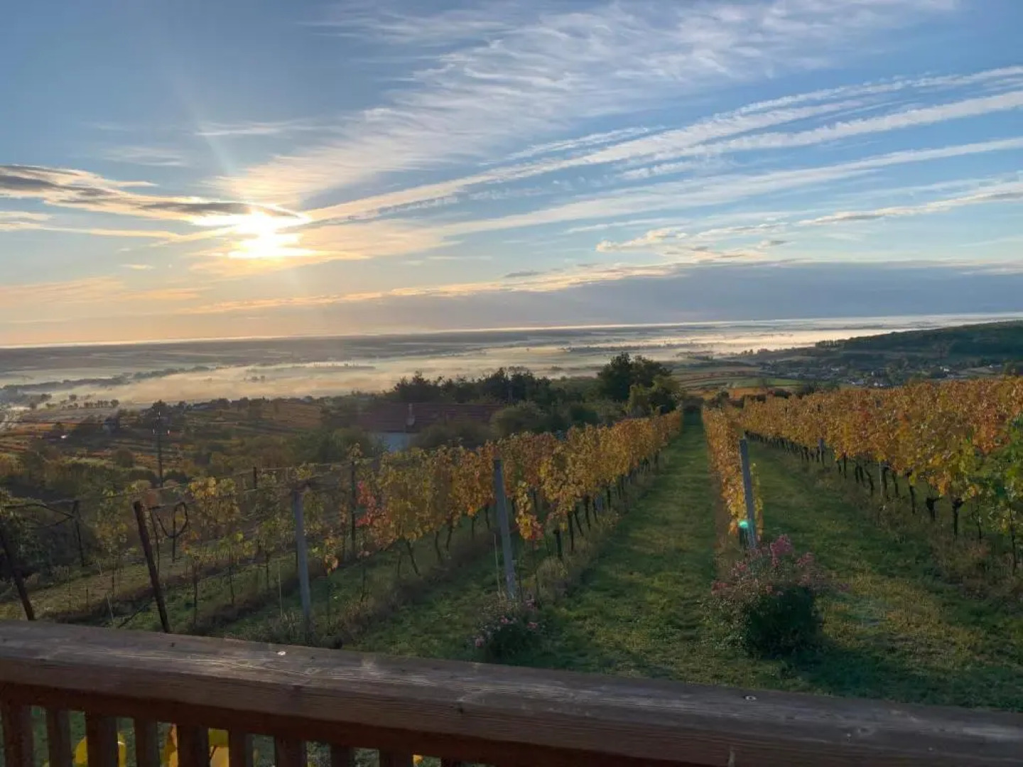 Kellerstöckl am Weinblick