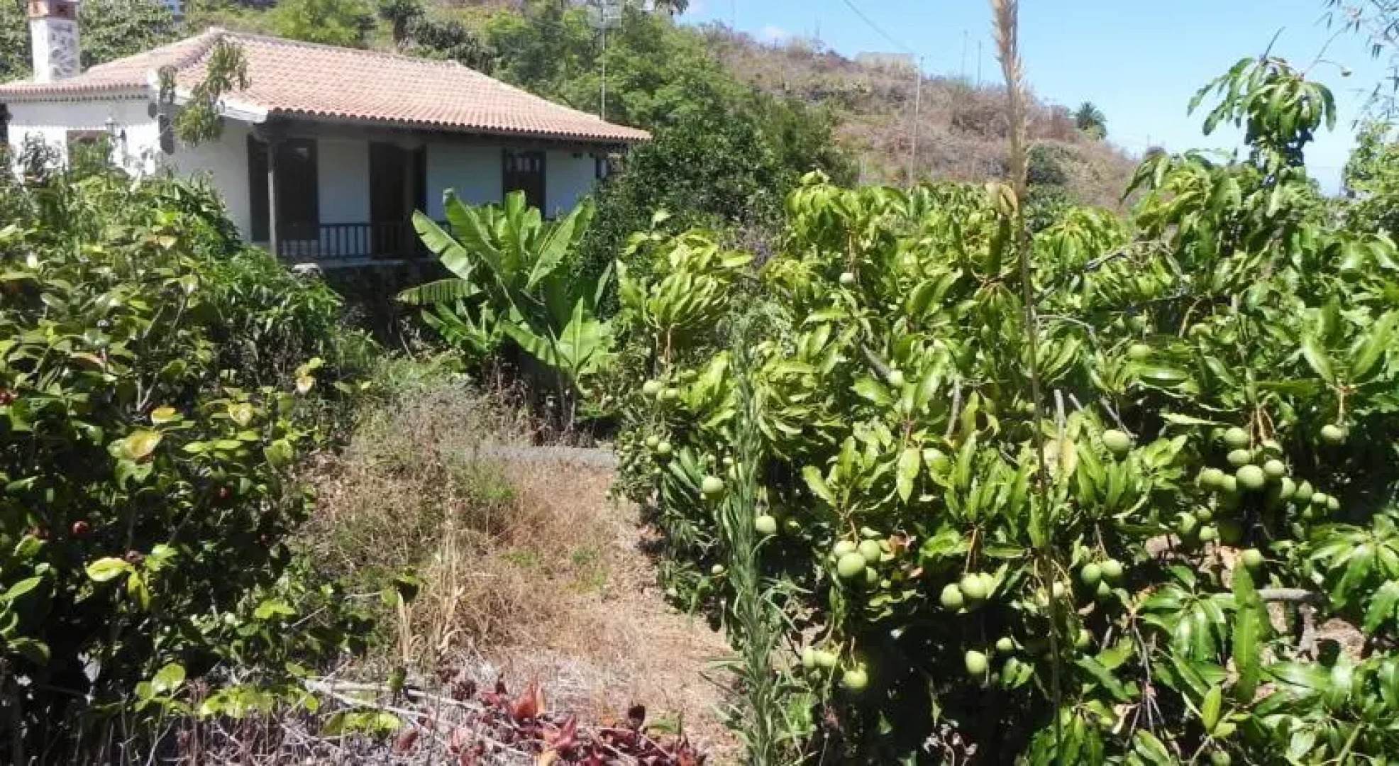 Holiday home Sitio La Vieja