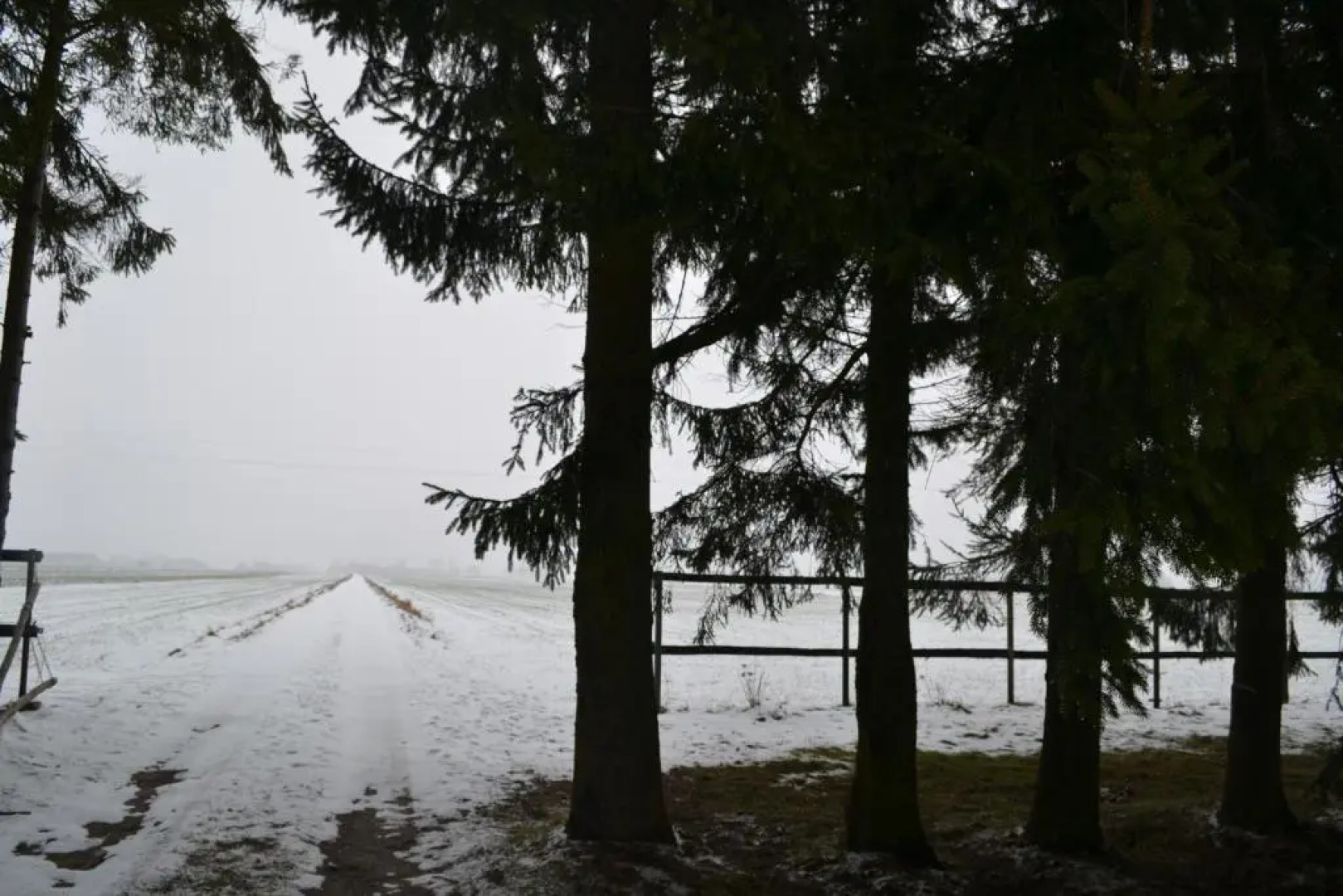 agroturystyka Kurnik Polski