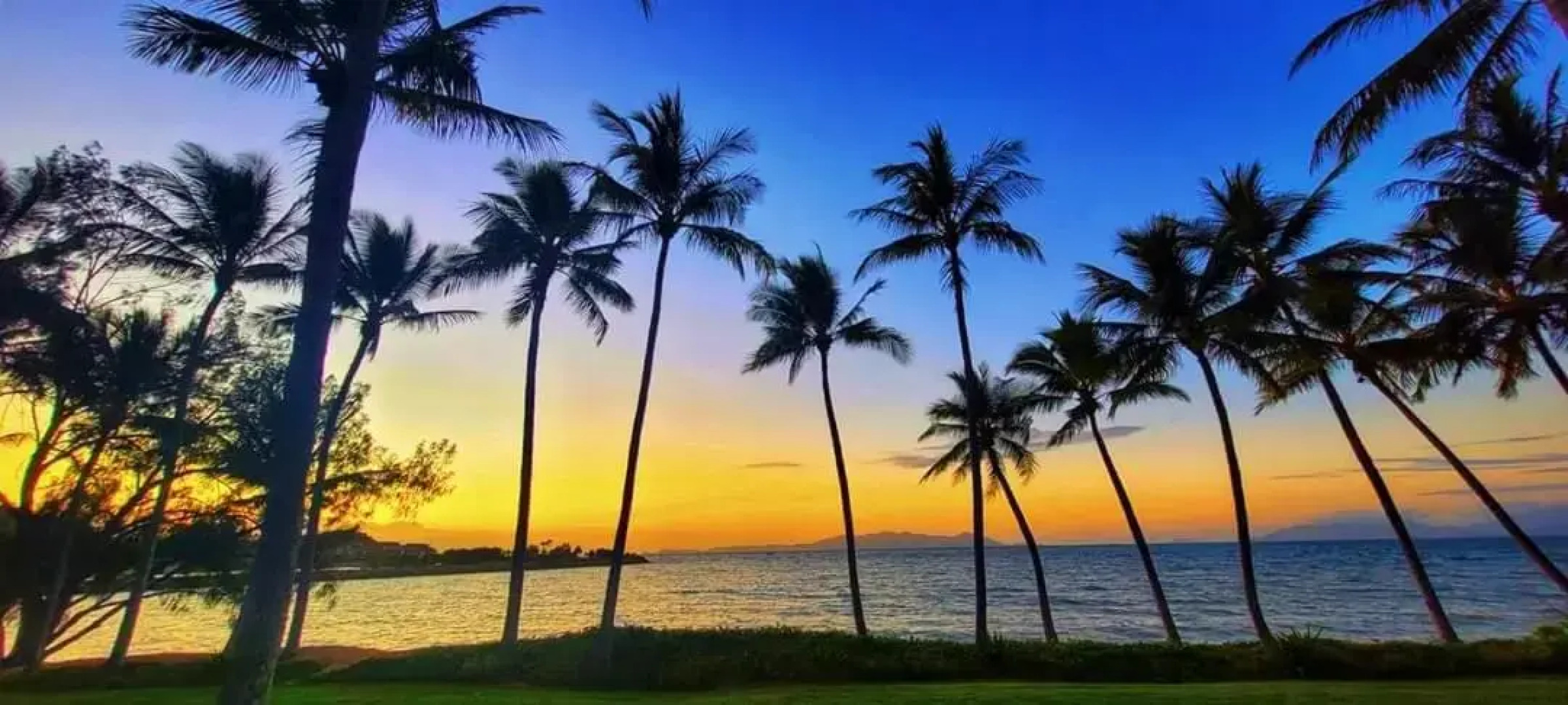 Beachside Cottage - A Private Peaceful Hidden Gem 50m to Beach