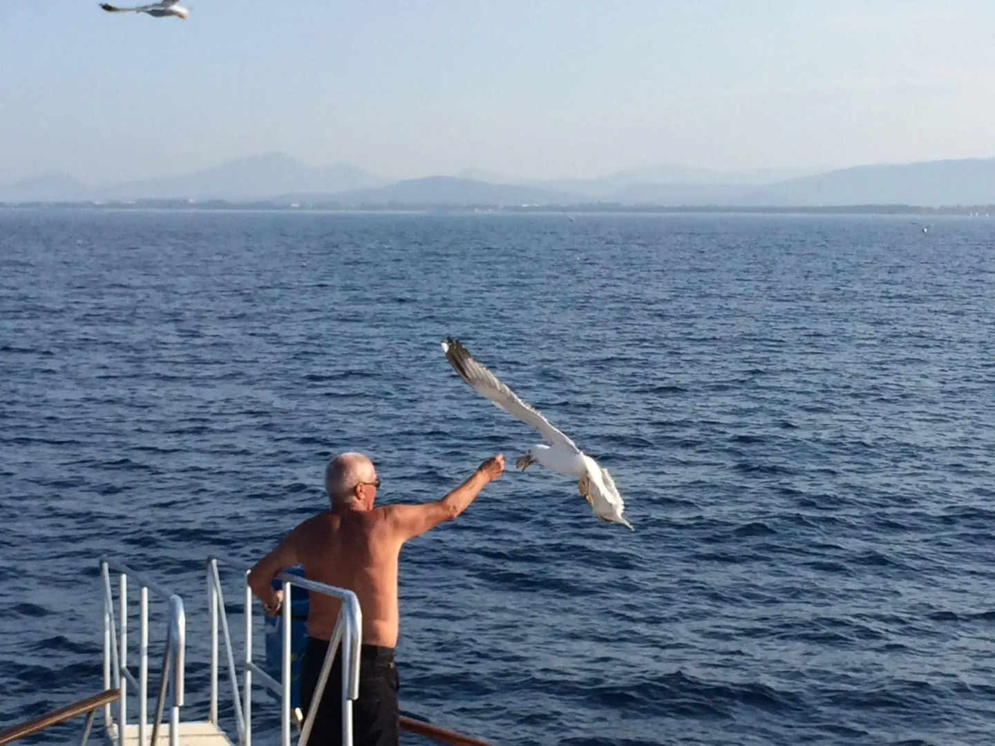 Residence Verde Mare