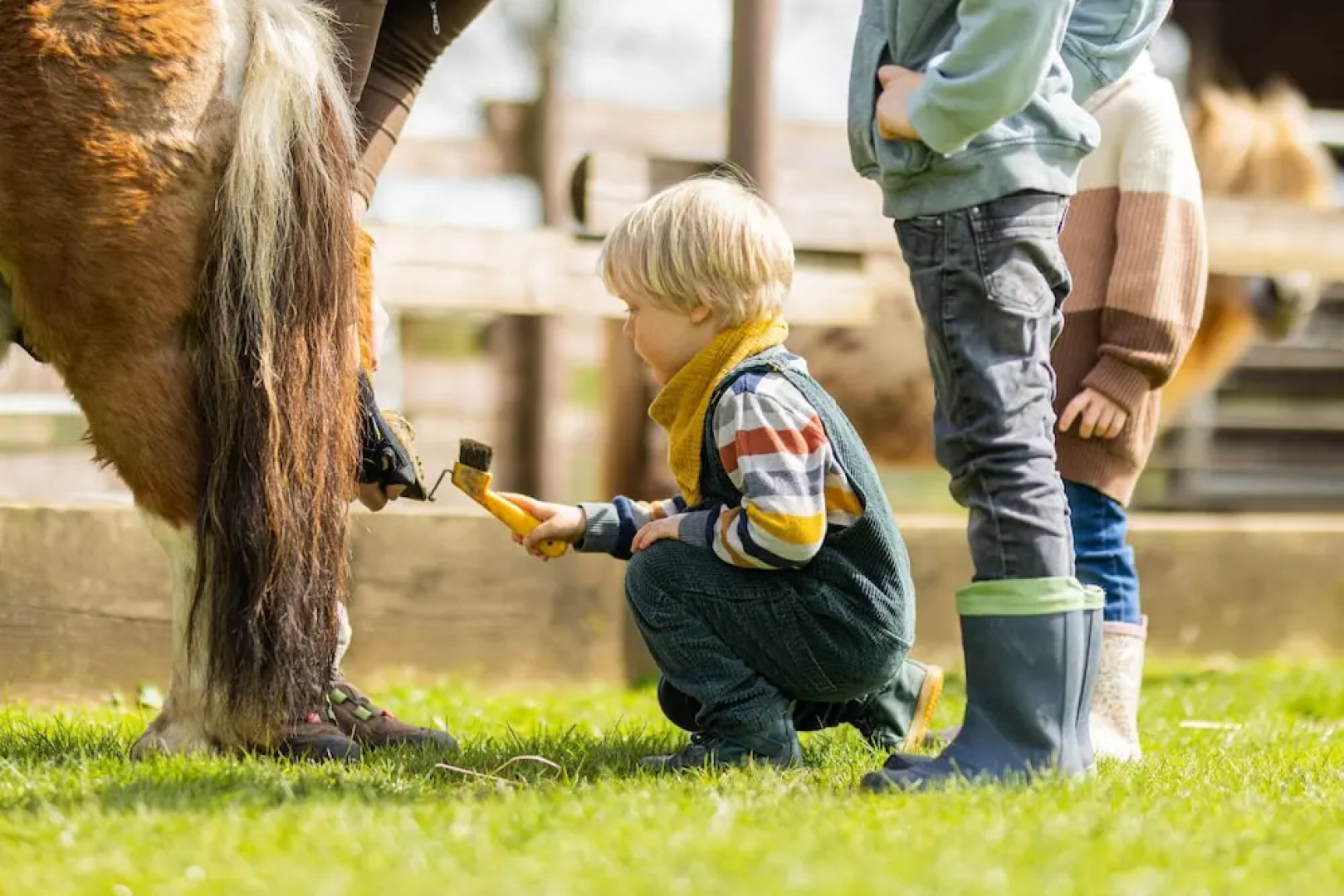 Hotel Schloss Hertefeld