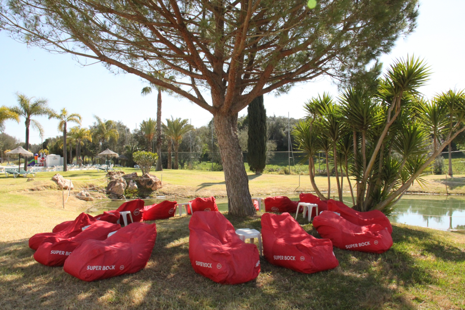 The Navigator - Palm Oasis Alvor